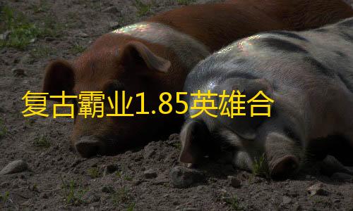 低价货源卡网抖音业务复古霸业1.85英雄合击版